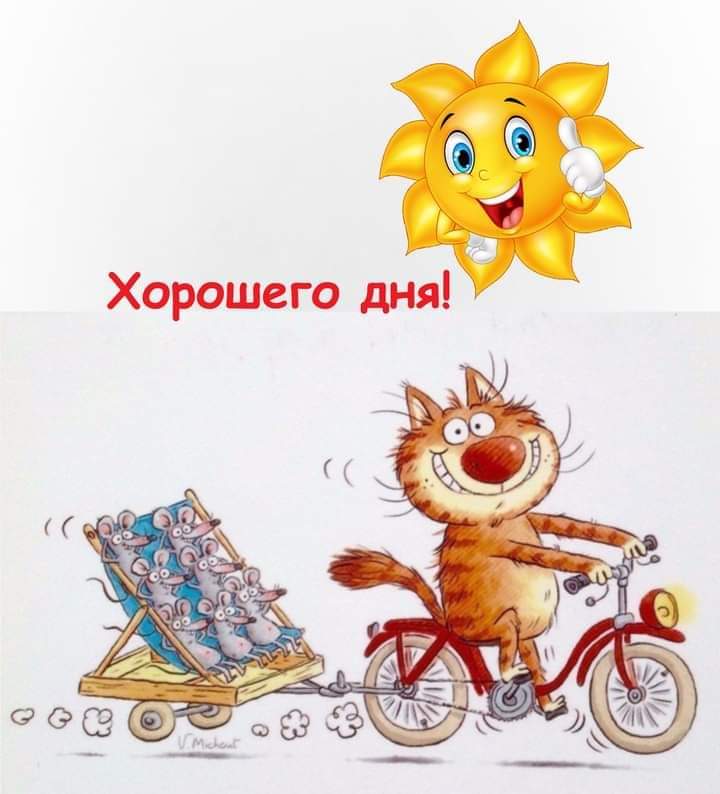 Подборка юмора, который творит чудеса с настроением 