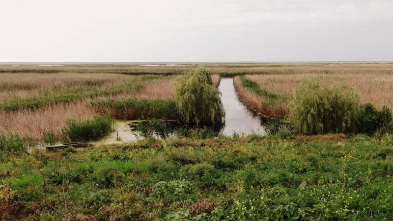 Триумф генерала Власова. Калаусское побоище 