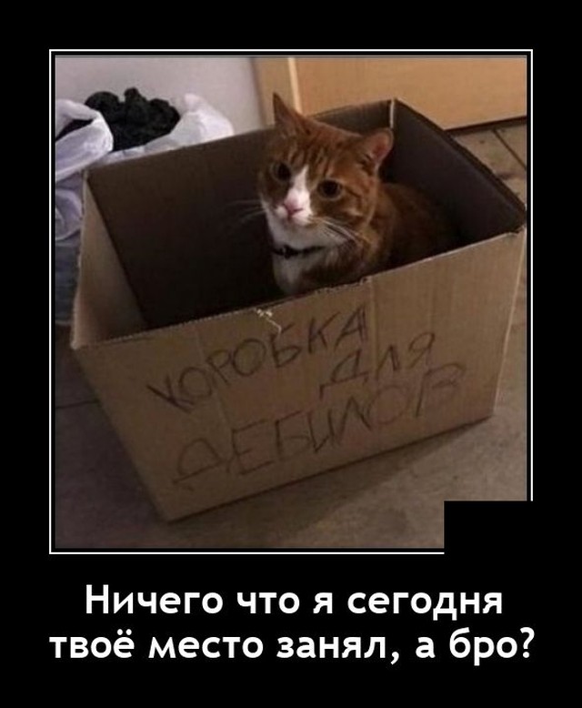 Новые демотиваторы Новые демотиваторы демотиваторы