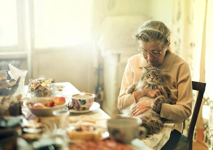 20 портретов, от которых не отвести глаз 20 портретов, от которых не отвести глаз