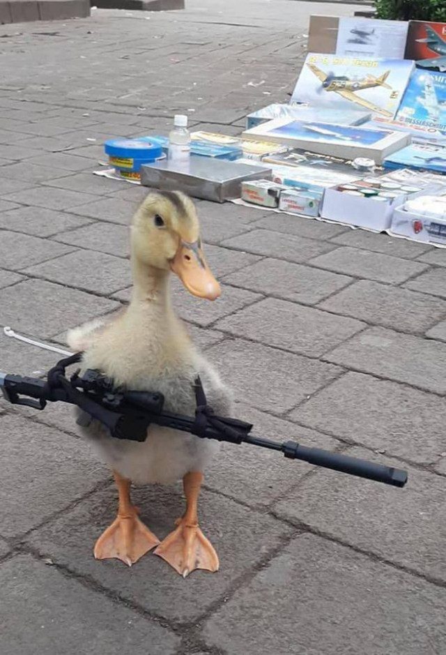 Ржачные картинки