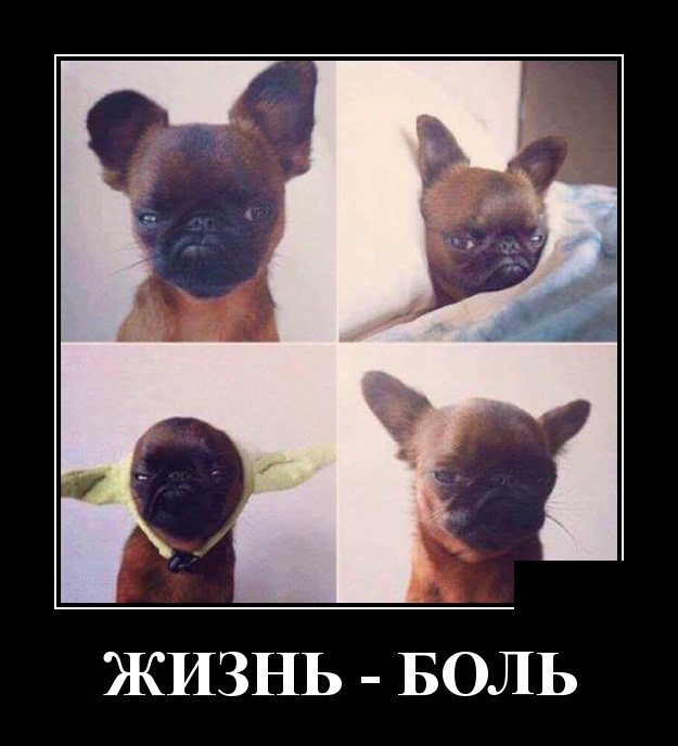 Демотиваторы Демотиваторы демотиваторы