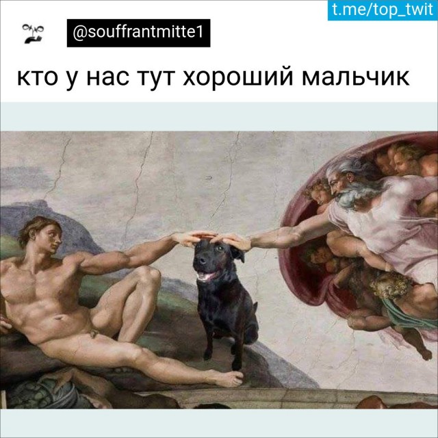 Доза позитива для хорошего настроения Доза позитива для хорошего настроения