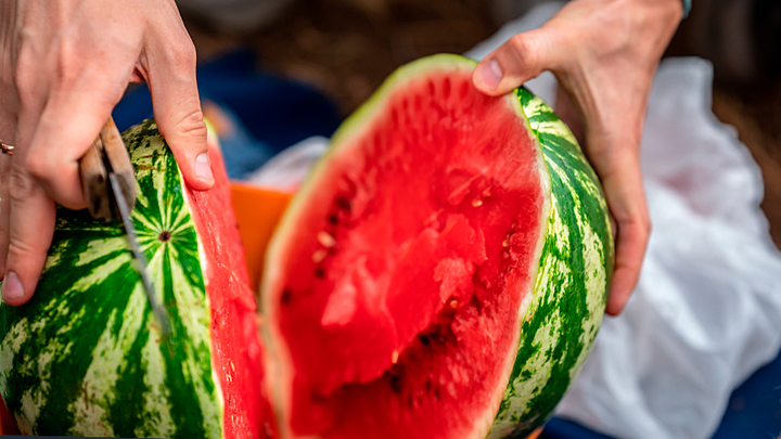 ЯД В АРБУЗЕ ИЛИ ТРУБАХ? ЧТО СТАЛО ПРИЧИНОЙ СМЕРТЕЛЬНОГО ОТРАВЛЕНИЯ В МОСКВЕ