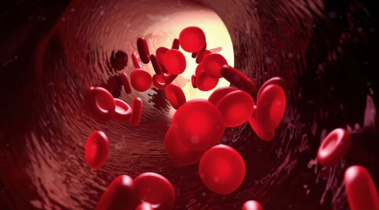 Группа крови человека может внезапно измениться: вот три главные причины болезни,кровь