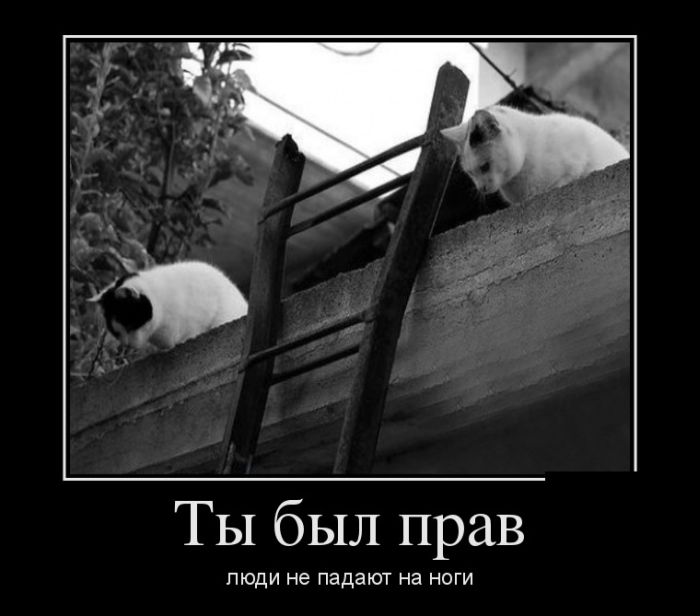 уголок группе все еще надеешься демотиватор некоторые