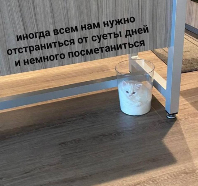 Весёлые картинки для всех: «Диалог между двумя гениями» 