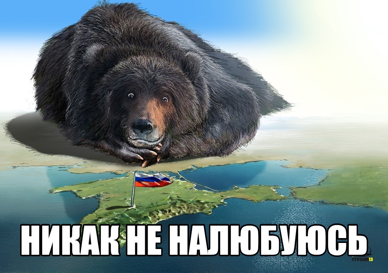 Мишка смотрит на русский флаг над Крымом...