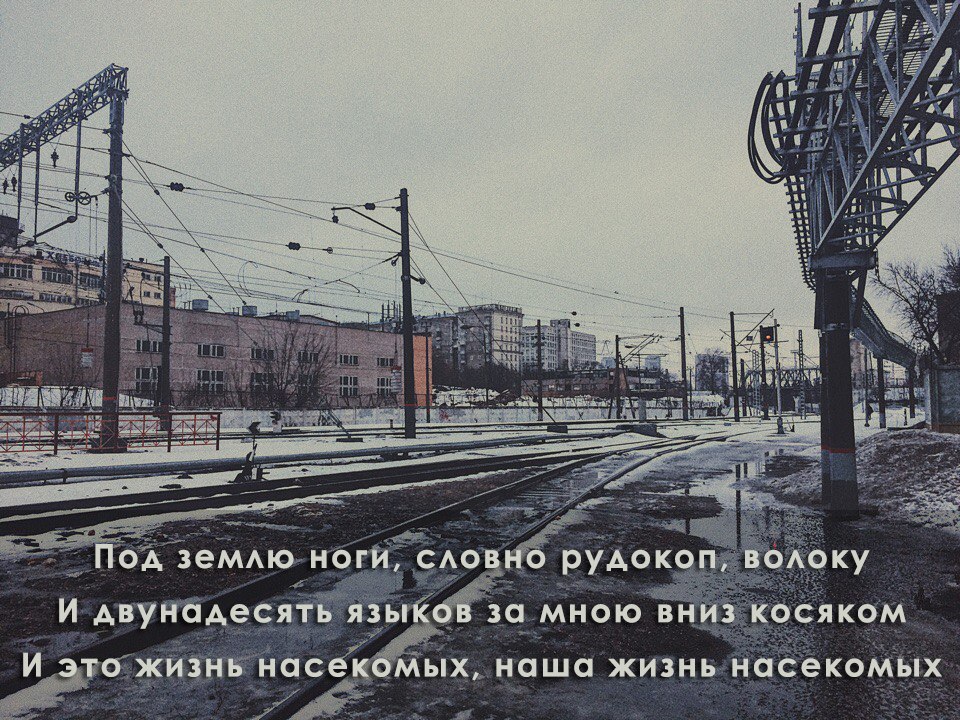 я хочу быть автоматом стреляющим. красивые девушки с оружием. быть автоматом стреляющим в лица. не хочу богатым быть красивым я автоматом. девушка с автоматом.