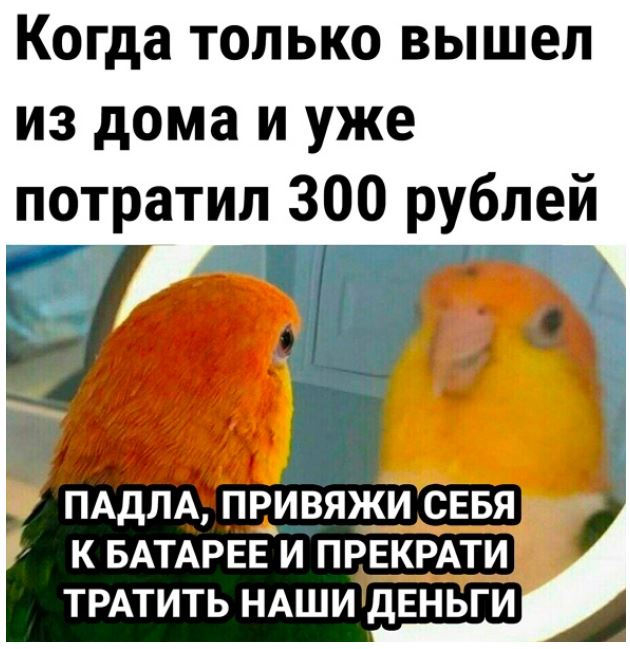 Юмористические картинки для настроения 