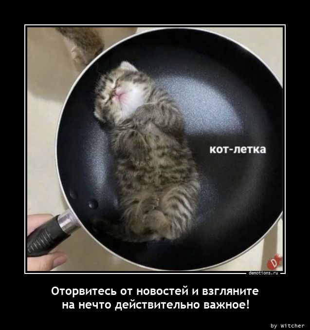 Свежая порция прикольных демотиваторов для поднятия настроения! Свежая порция прикольных демотиваторов для поднятия настроения!