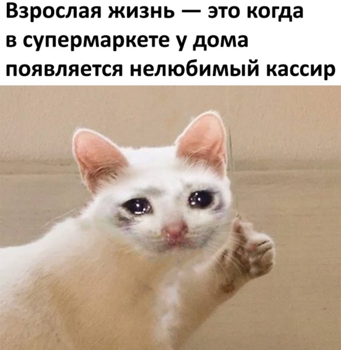 Мемы с котиками, разные смешные картинки и позвоночник 