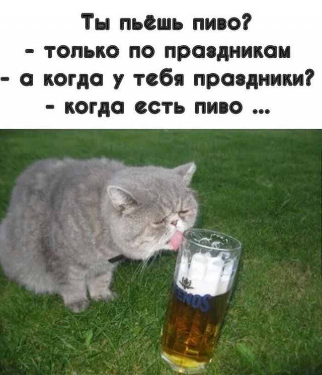 Приколы про алкоголь после прошедших выходных  позитив,смешные картинки,юмор