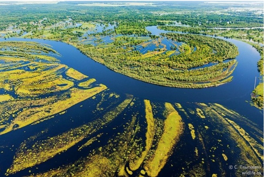Полесье: сокровище Беларуси с высоты птичьего полета Полесье: сокровище Беларуси с высоты птичьего полета Беларусия,путешествие,туризм