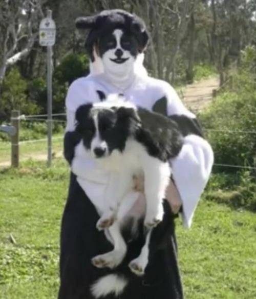 Прикольные мемы и картинки Прикольные мемы и картинки