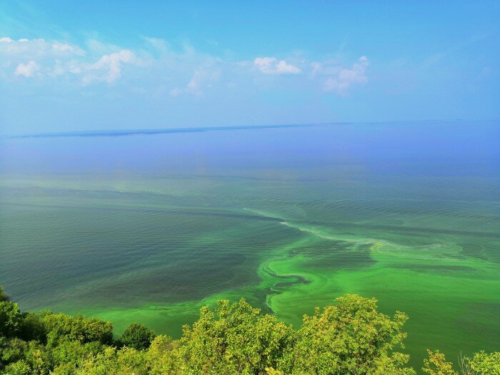 Место впадения Камы в Волгу. Зеленоватый цвет – это Волга, а дальше Кама/ © zen.yandex.ru, канал "Психолог Иван Матрёнин"