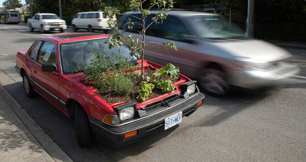 Машина-дерево, Ванкувер