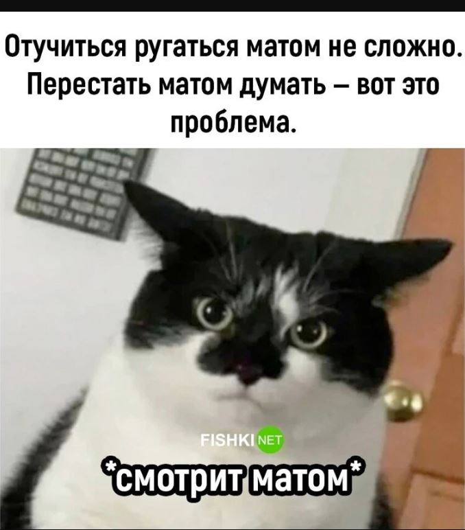 Картинки с приколами для поднятия настроения Картинки с приколами для поднятия настроения