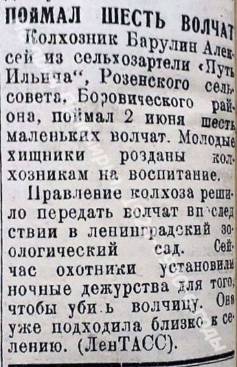 Такой сруб строили специально, чтобы в нем жил медведь (для каких неприятных и странных целей люди в прошлом брали медвежат)