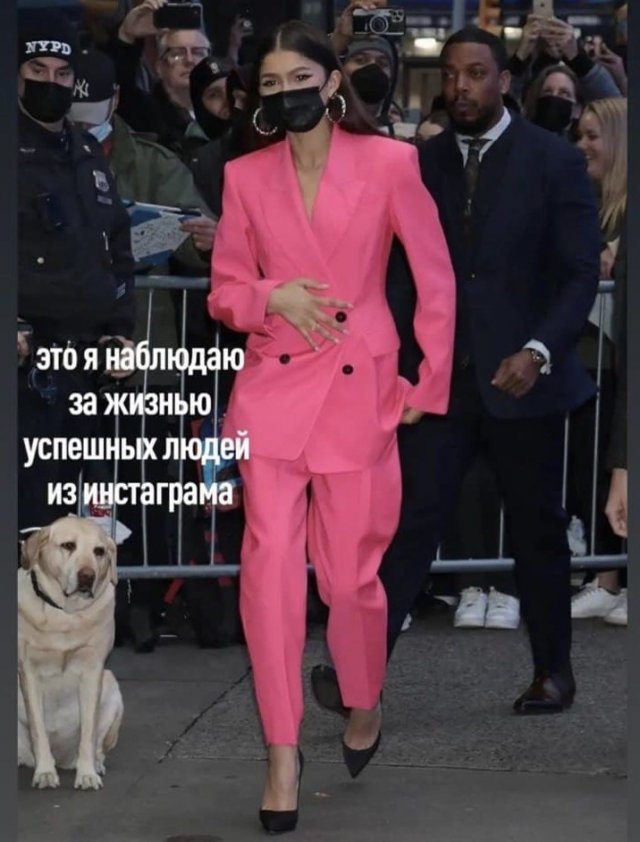 Лучшие шутки и мемы из Сети