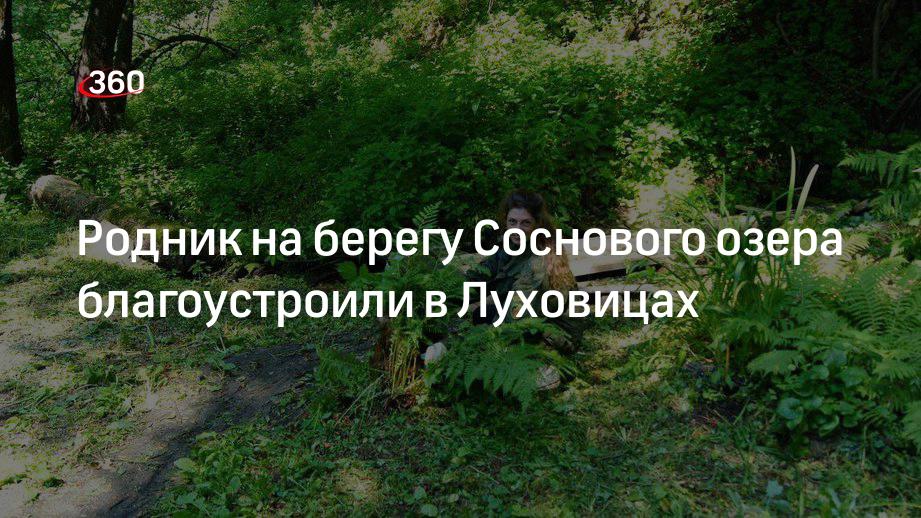 Родник на берегу Соснового озера благоустроили в Луховицах