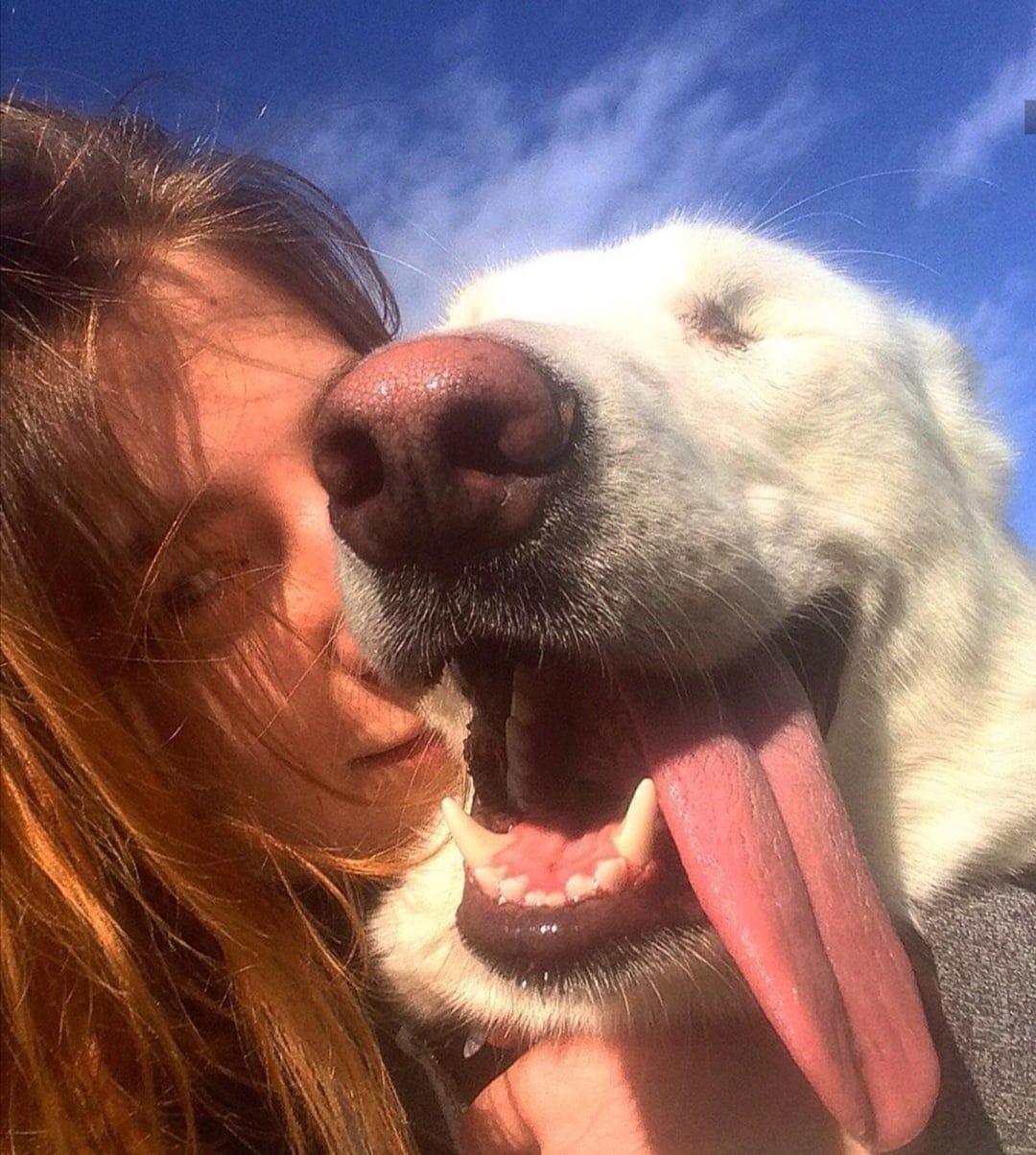 хозяйка с собакой