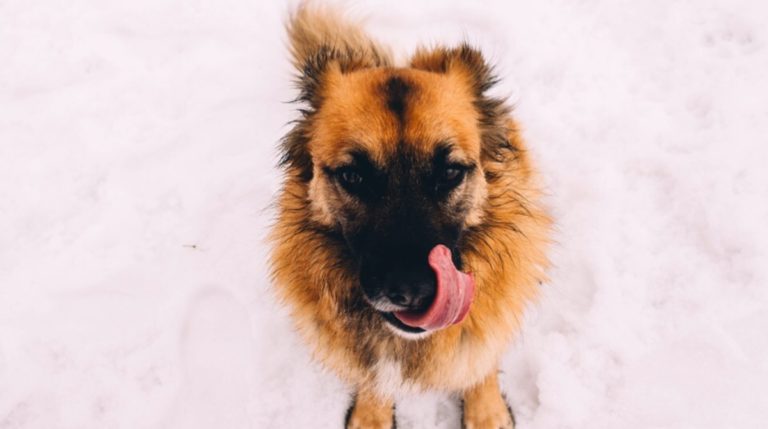 BeFunky-collage - 2020-02-12T155443.167