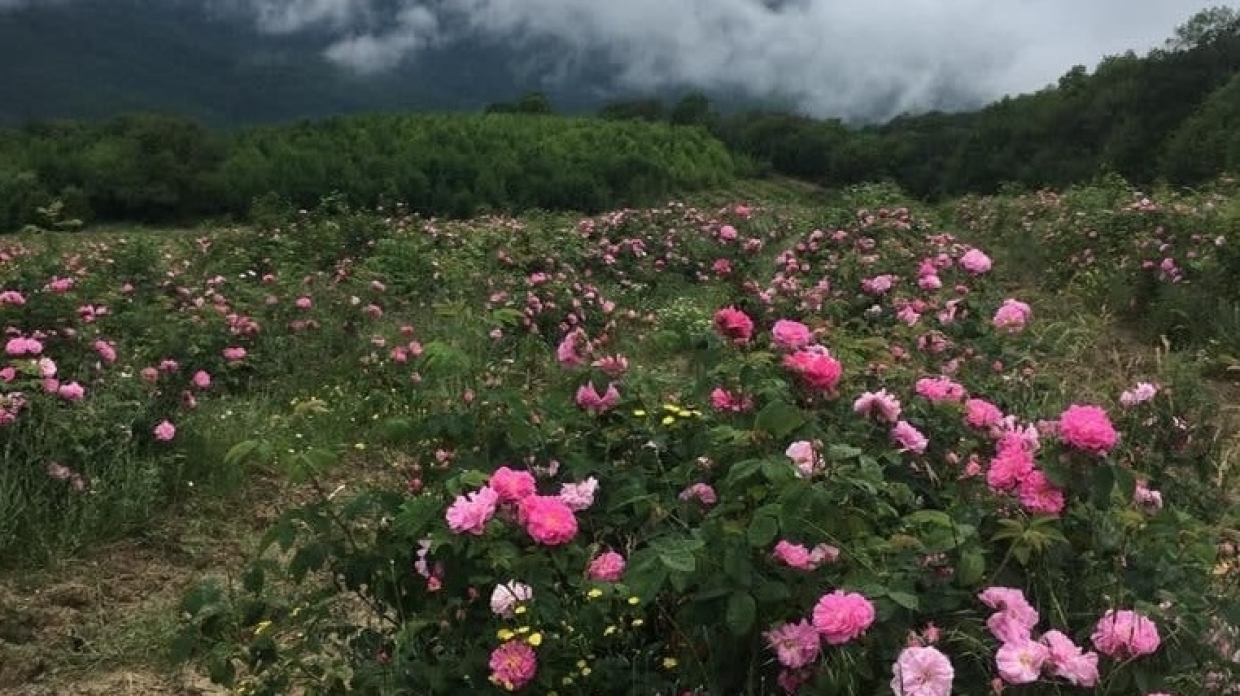 Болгарин рассказал о своих впечатлениях от Крыма