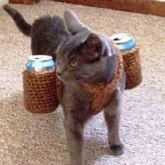 25 обалденных приколов для поднятия настроения на всю неделю 25 обалденных приколов для поднятия настроения на всю неделю смешные картинки