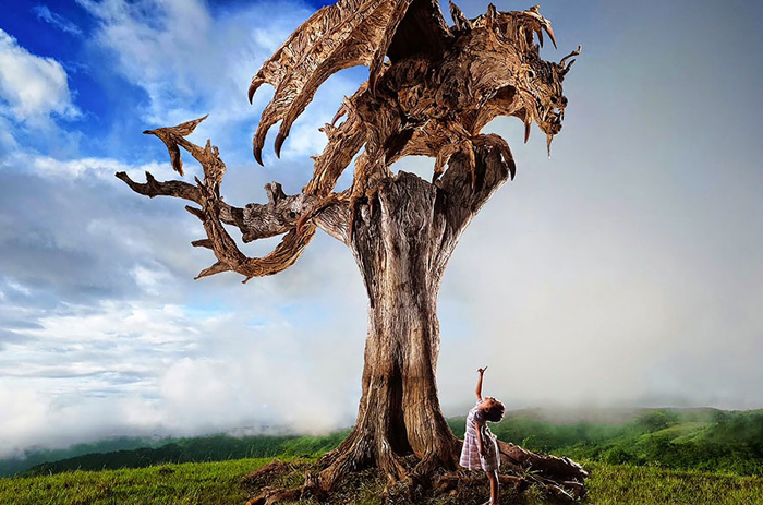 Крылатые драконы из обыкновенных коряг: чудеса работы с деревом -Современное искусство - 14 октября - 43467066761 - Медиаплатформа МирТесен