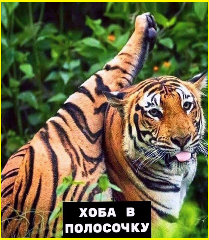 Хоба! 