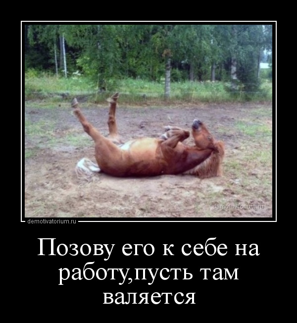 Ночные демотиваторы из сети