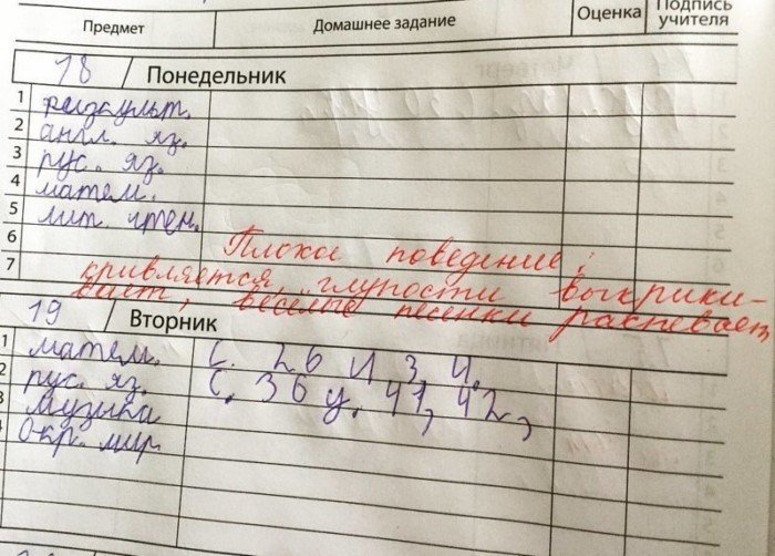 15 замечаний в школьных дневниках, от которых у родителей волосы встают дыбом 15 замечаний в школьных дневниках, от которых у родителей волосы встают дыбом