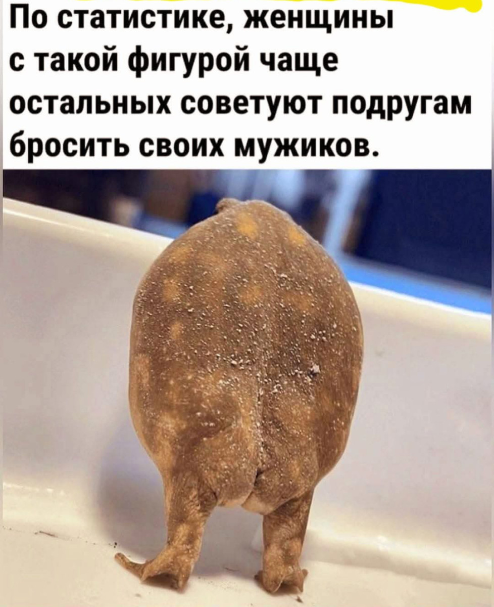 Звонок будильника означает, что лучшая часть суток уже закончилась... Звонок будильника означает, что лучшая часть суток уже закончилась...
