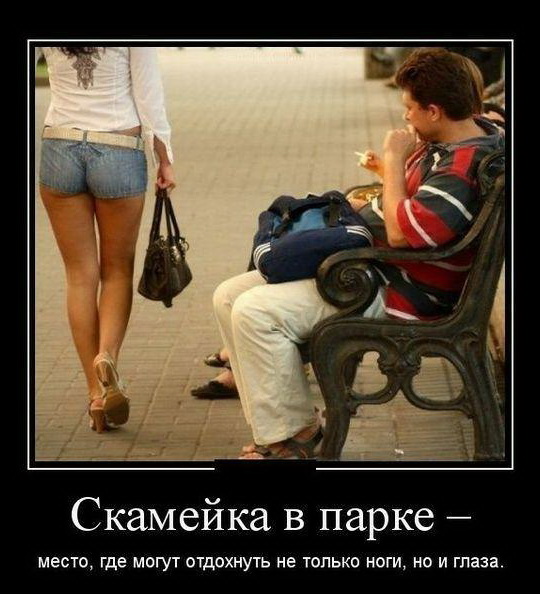 Веселый юмор на злобу дня 