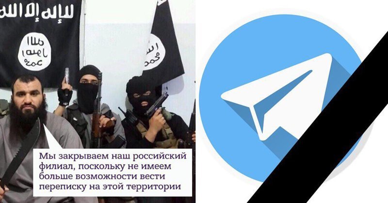 Мировой терроризм повержен: реакция соцсетей на блокировку Telegram Telegram, дуров, мессенджер, реакция соцсетей, роскомнадзор, россия, юмор
