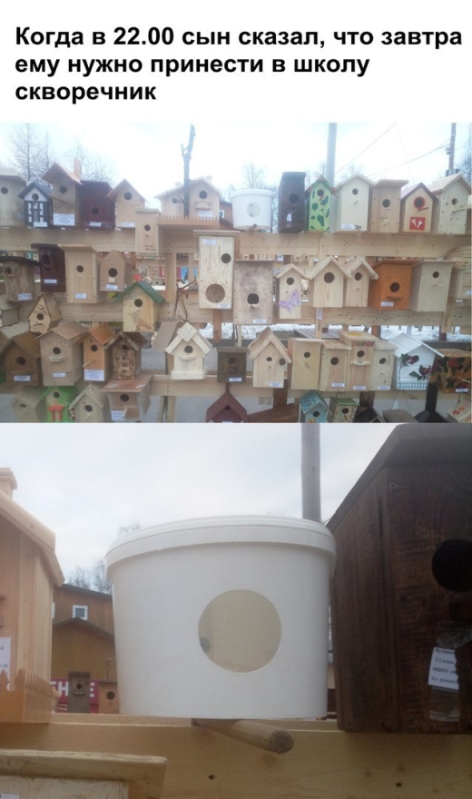 Прикольные и зачетные фотографии с надписями Смешные картинки с надписями до слез