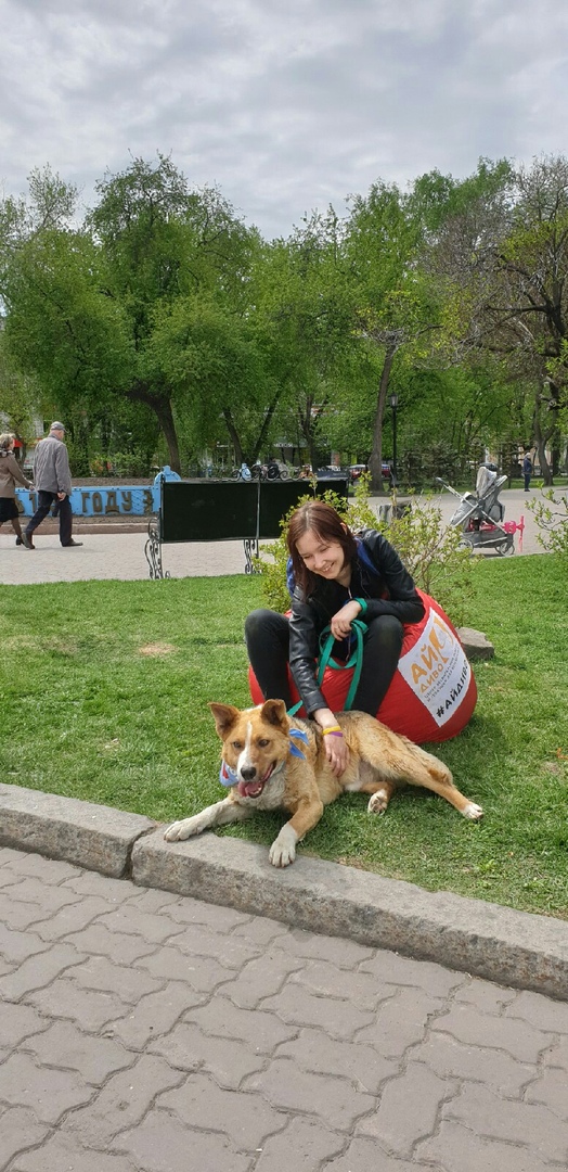 Хозяева не пустили собственного пса домой после прогулки 