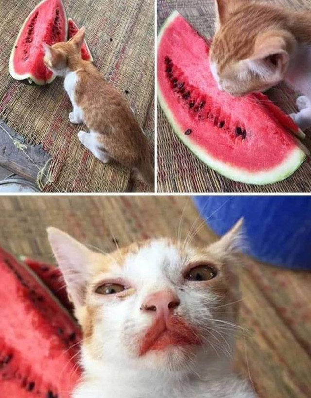 Ржачные картинки Ржачные картинки