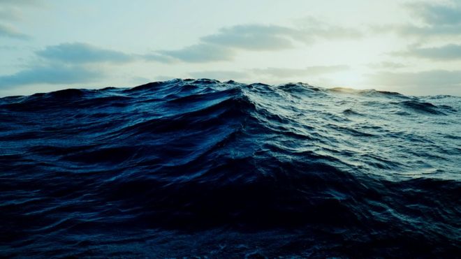 Окруженные океаном, Робертсоны ждали дождя, который бы принес воду, пригодную для питья