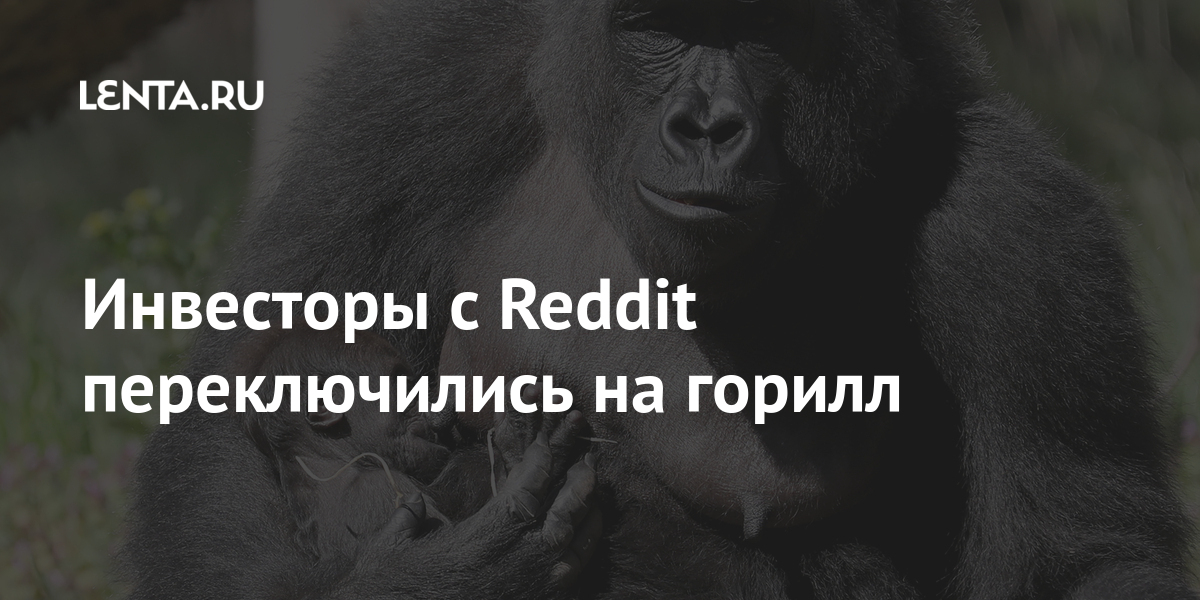 Инвесторы с Reddit переключились на горилл Инвесторы с Reddit переключились на горилл Экономика