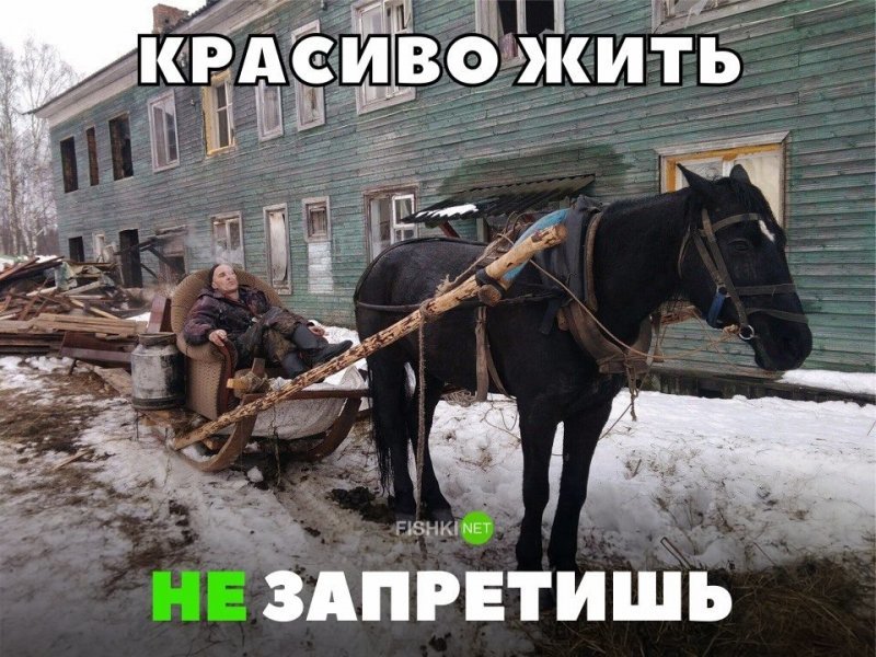 Выезжаю картинка прикол