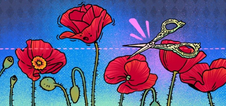 Что такое синдром высокого мака и почему людей раздражает чужой успех