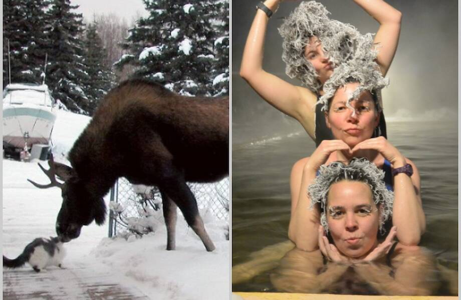 15 забавных снимков, которые идеально отражают Канаду