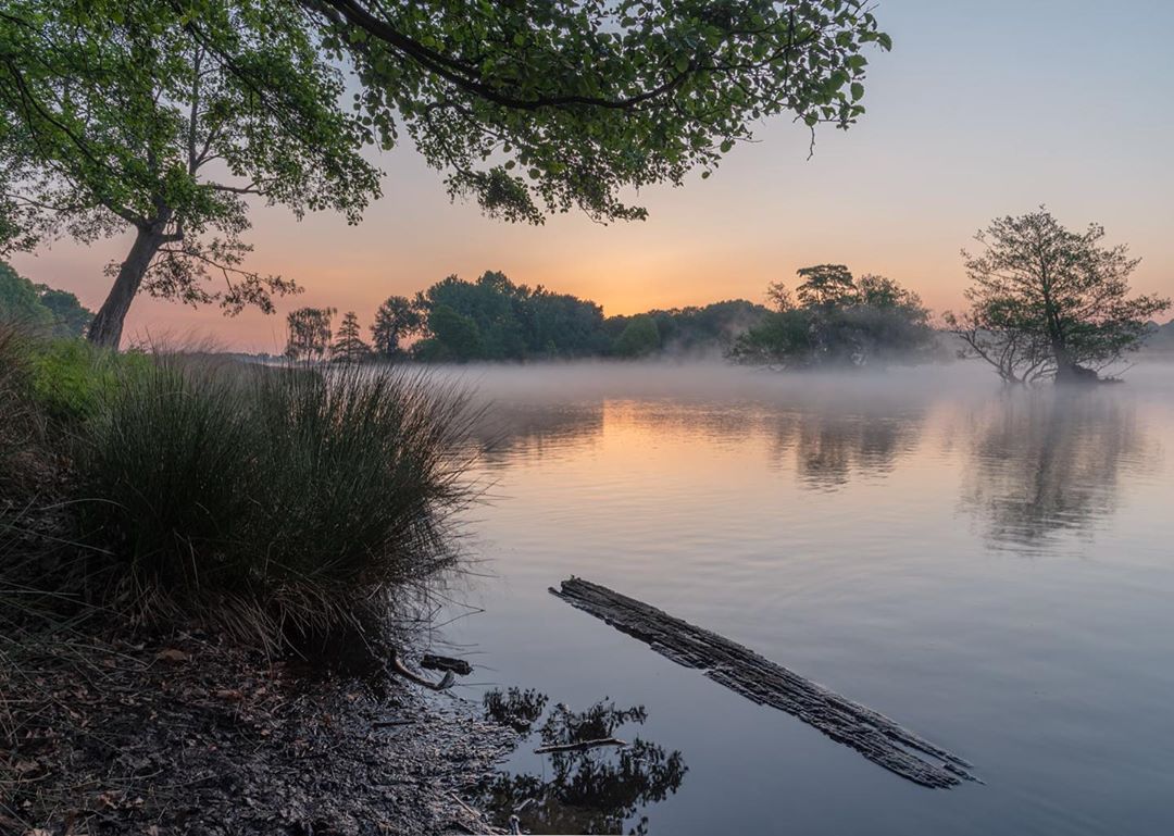 Красивая природа на снимках Кэт Готард природа