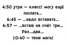 Подборка шуток для хорошего настроя на весь день 