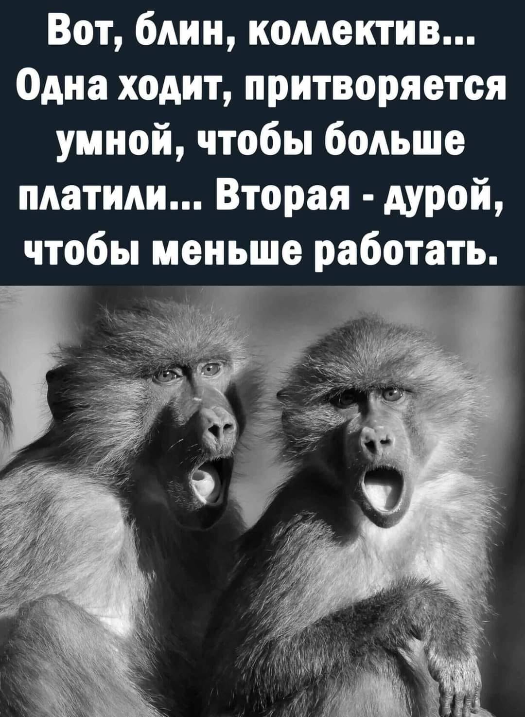 У одного дачника все время воровали помидоры из теплицы... както, помидоры, одного, время, Колобок, Сильный, ситуациято, патоваяПопала, Алиса, Зазеркалье, понравилось, девку, понесло, затумбочье, друга, задиванье, зашторье, закроватье, конце, застолье