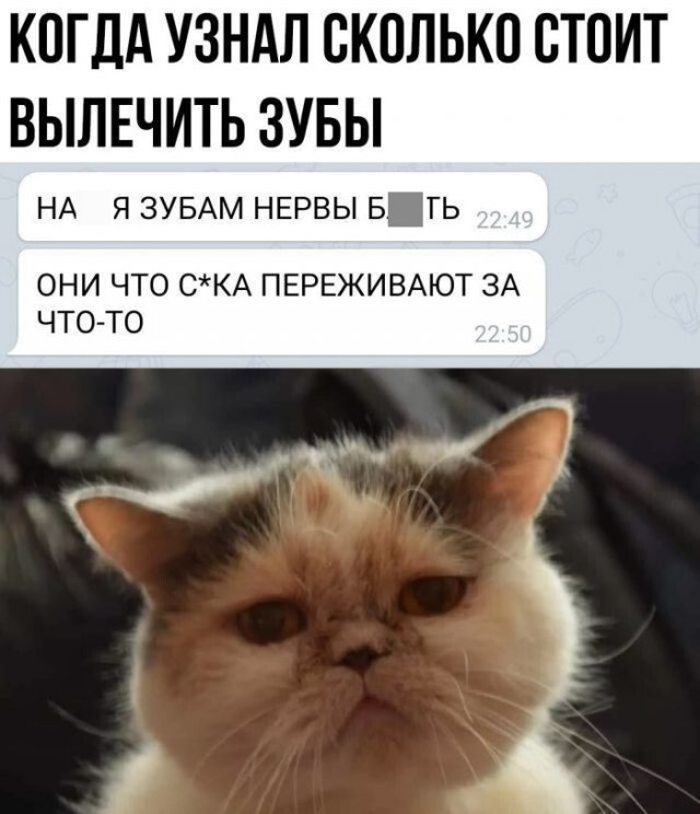 Смешные комментарии из социальных сетей Смешные комментарии из социальных сетей позитив,смешные картинки,юмор