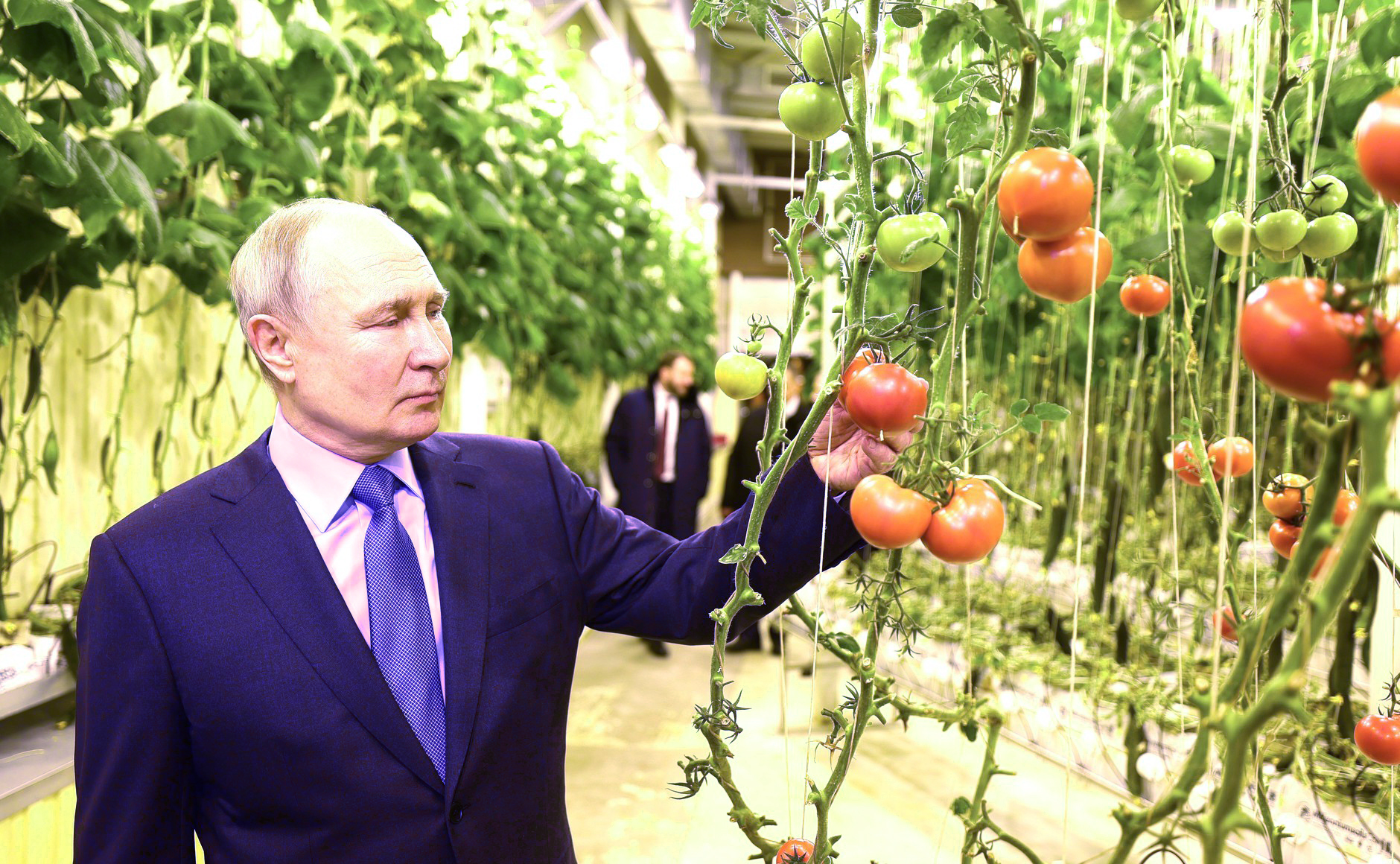 Путин открыл сразу три новых производства