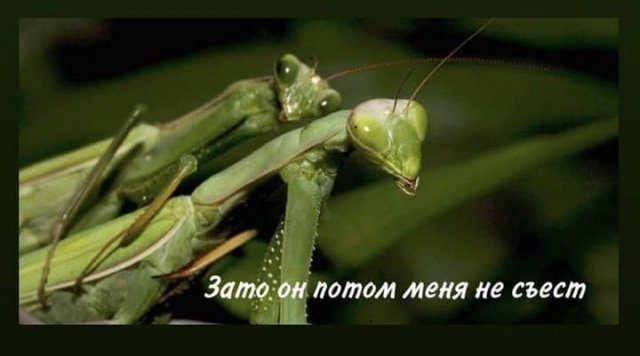 25 приколов июля 25 приколов июля смешные картинки,фото-приколы,юмор